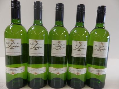null 5 bouteilles de Chardonnay Blanc sec la Belle Epine Viognier AOC IGP