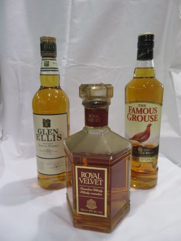 null Lot de 3 bouteilles de whisky : the Famous Grouse (70 cl), Glen Ellis (70 cl)...