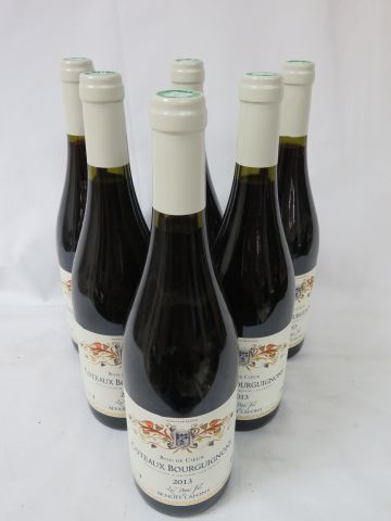 null 6 bouteilles de Côteaux Bourguignons, Benoît Lafont, 2013