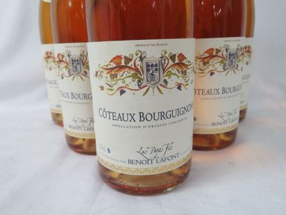null 6 bouteilles de Côteaux Bourguinons, Rosé, Benoît Lafont, 2013.