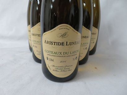 null 6 bouteilles de Côteaux du Layon, Aristide Luneau, 2014