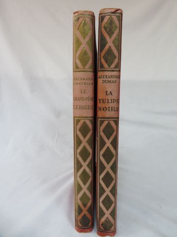 null Lot de deux livres des éditions Hachette : Dumas "La Tulipe noire" (illustré...