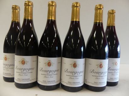null 6 bouteilles de Bourgogne Pinot Noir VSR Présumé 2008 Paul Thévenin