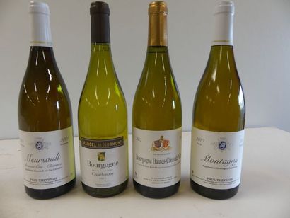 null Lot de 4 bouteilles : 1 Montagny Bourgogne Blanc Paul Thevenin 2010 ; 1 Hautes...