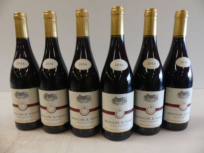 null 6 bouteilles de Moulin à Vent 2016 Cru du Beaujolais