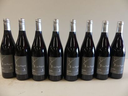 null 8 bouteilles de Pinot Noir 2017 Le Payré Domaine Thomas Dormégnies Val de L...