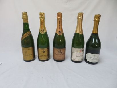 null Lot de 5 bouteilles : 2 de Vouvray, 1 de Crément d'Alsace, 1 de Crément de Limoux...