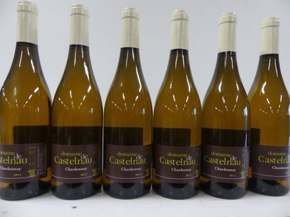 null 6 bouteilles de Chardonnay Blanc 2012 Domaine de Castelneau IGP