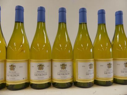null 12 bouteilles Sauvignon Blanc Sec 2016 Pays d'Oc Louis d'Armont