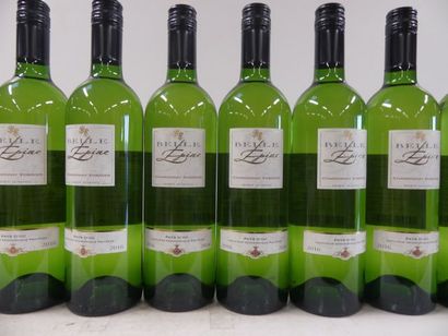 null 10 bouteilles de Chardonnay 2016 Viognier La Belle Epine IGP