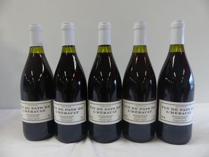 null 5 bouteilles de Rouge de l'Hérault Charles Gautier sans mill. (en l'état)