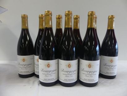 null 9 bouteilles de Bourgogne Pinot Noir Présumé 2008 Paul Thévenin Sans mill.