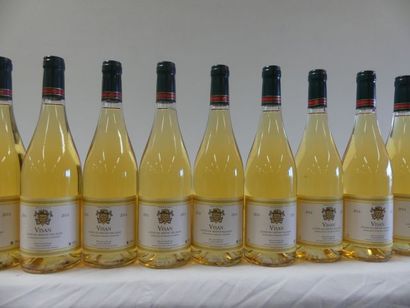 null 9 bouteilles de Visan 2014 Côtes du Rône Village Blanc Louis d'Armont
