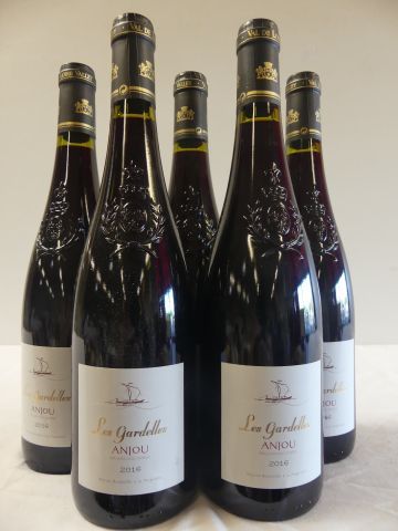 null 5 bouteilles de Anjou rouge 2016 Domaine les Gardelles mise de propriété