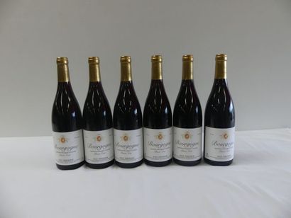 null 6 bouteilles de Bourgogne Pinot Noir VSR Présumé 2008 Paul Thévenin