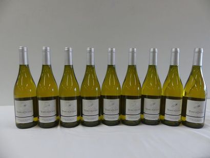 null 9 bouteilles de Côtes du Rhône Blanc 2013 La Terre des cigales
