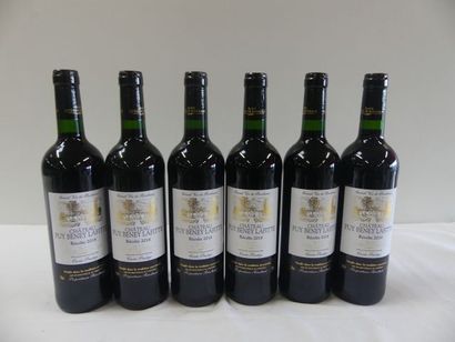 null 6 bouteilles de Château Puy Beney Lafitte 2018 Vuvée Prestige Côtes de Blaye...