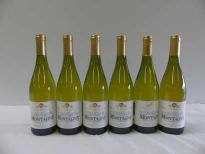null 6 bouteilles de Montagny 2017 Bourgogne Blanc Marcel de Normont