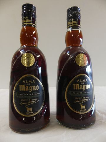 null 2 bouteilles de Jerez Brandi Alma de Magno Thomas Osborne Bodégas 1702