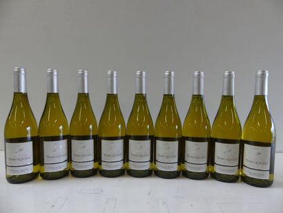 null 9 bouteilles de Côtes du Rhône Blanc 2013 La Terre des cigales