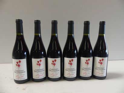 null 6 bouteilles de Cabernet Sauvignon Rouge 2014 L'Envolée André Goichot