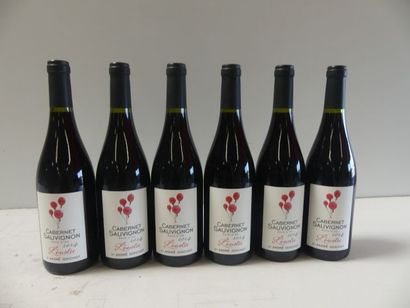 null 6 bouteilles de Cabernet Sauvignon Rouge 2014 L'Envolée André Goichot
