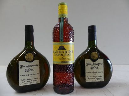 null Lot de 3 bouteilles : 2 Fine Armagnac Delord 70 cl 40 % vol. ; 1 Liqueur Mandarine...
