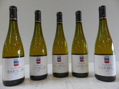 null 5 bouteilles de Saumur Blanc Les Bessières 2015 AOC La Cave de Robert