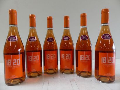 null 6 bouteilles de Rosé Chateaumeillant 2013 Vin d'appellation du centre Val de...