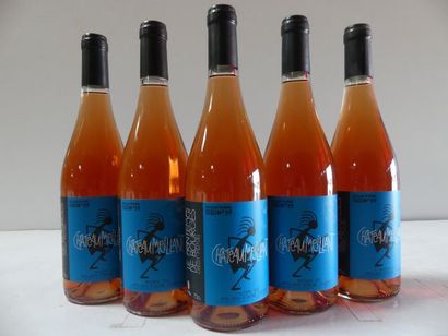 null 5 bouteilles de Chateaumeillant Rosé 2013 AOC Proche Sancerre