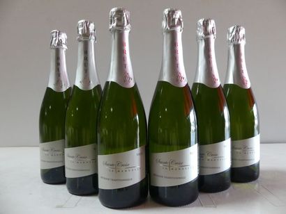 null 6 bouteilles de Méthode Champenoise Traditionnelle Brut Domaine Ste Croix La...