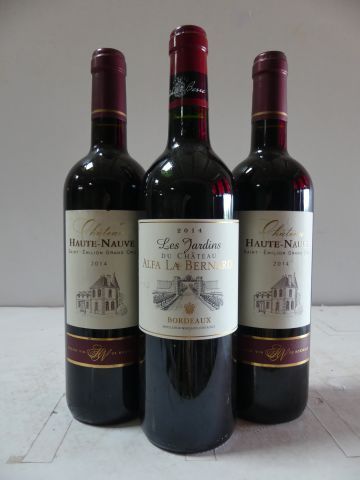 null Lot de 3 bouteilles : 2 St Emilion Grand Cru 2014 Château Haute Nauve Vignes...