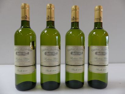 null 4 bouteilles de Château Grand Jean 2018 Bordeaux Blanc Sec Médaille d'Or