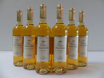 null 6 bouteilles de Sauternes 2018 issu de Vendanges Manuelles Château Jean Gal...