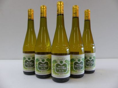 null 5 bouteilles de Muscadet sur Lie Sèvre et Maine 2015 La Confrérie du Val de...