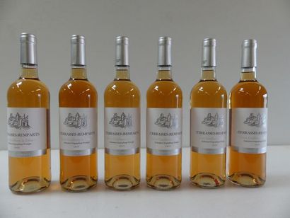 null 6 bouteilles de Rosé 2015 La terrasse des Remparts IGP Sec