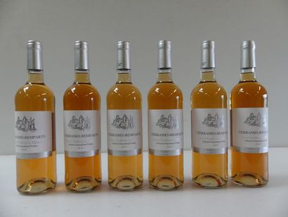 null 6 bouteilles de Rosé 2015 La terrasse des Remparts IGP Sec