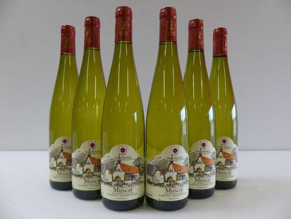 null 6 bouteilles de Alsace Muscat 2018 Domaine Muler Propriétaire
