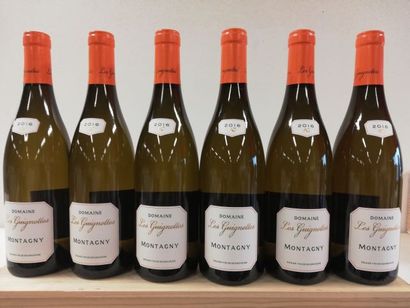 null 6 bouteilles de Montagny Blanc 2016 Domaine des Guignottes André Goichot Grand...