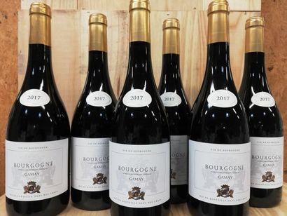 null 6 bouteilles de Bourgogne Rouge 2017 Cépage Gamay (Btles lourdes, façon 18è...