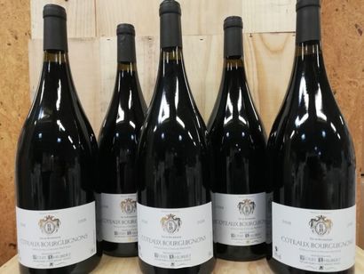 null 5 MAGNUMS 150 cl Bourgogne Rouge 2018 Côteaux Bourguignons Louis Philibert