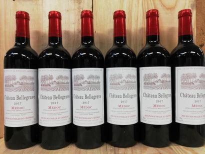 null 6 bouteilles de Château Bellegrave 2017 Médoc Vignobles Caussèque Récoltant