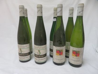 null Lot de 9 bouteilles de vins d'Alsace dont 3 de Riesling Alfonse Meyer 1996,...