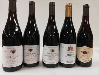 null Lot de 5 bouteilles : 1 Rully Rouge 2016 Romuald Valot ; 1 Volnay Rouge 2017...