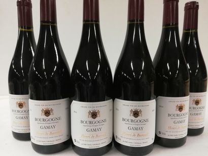 null 6 bouteilles de Bourgogne Rouge 2016 Henri de Bareuil Cépage Gamay