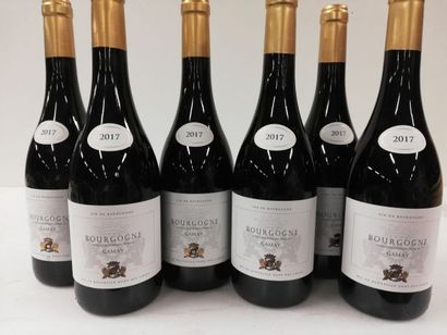 null 6 bouteilles de Bourgogne Rouge 2017 Cépage Gamay AOC Btles lourdes