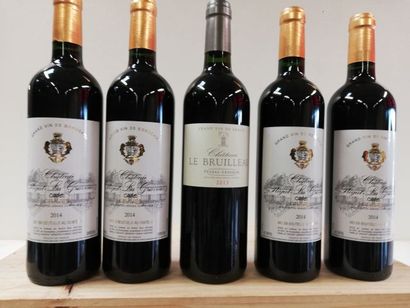 null Lot de 5 bouteilles : 1 Château Le Bruilleau2013 Pessac Léognan Rouge ; 4 Graves...