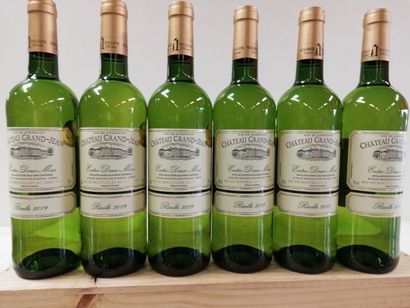 null 6 bottles of Entre Deux Mers 2018 Château Grand Jean Gold Medal Winner