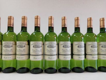 null 9 bouteilles de Château Grand-Jean Récolte 2019 Entre-deux-mers Médaille d'Or....