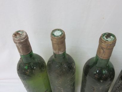 null Lot de 4 bouteilles de vin blanc sans étiquettes.